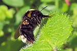 Filename=N0001_004.jpg
Filesize=281KiB
Dimensions=1000x667
Date added=Aug 16, 2011 N0001_004.jpg