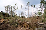 Dateiname=N0001_024.jpg
Dateigröße=466KB
Abmessungen: 1000x667
hinzugefügt am: 16. August 2011 N0001_024.jpg