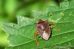 Filename=N0001_079.jpg
Filesize=295KiB
Dimensions=1000x667
Date added=Aug 16, 2011 N0001_079.jpg