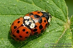 Dateiname=N0012_020.JPG
Dateigröße=79KB
Abmessungen: 600x400
hinzugefügt am: 25. August 2011 N0012_020.JPG