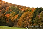 Dateiname=N0014_085.JPG
Dateigröße=93KB
Abmessungen: 600x400
hinzugefügt am: 29. August 2011 N0014_085.JPG