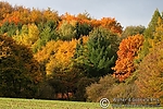 Dateiname=N0014_086.JPG
Dateigröße=98KB
Abmessungen: 600x400
hinzugefügt am: 29. August 2011 N0014_086.JPG