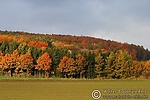 Filename=N0014_087.JPG
Filesize=72KiB
Dimensions=600x400
Date added=Aug 29, 2011 N0014_087.JPG