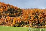 Dateiname=N0014_089.JPG
Dateigröße=99KB
Abmessungen: 600x400
hinzugefügt am: 29. August 2011 N0014_089.JPG