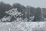 Dateiname=N0018_080.JPG
Dateigröße=145KB
Abmessungen: 600x400
hinzugefügt am: 08. September 2011 N0018_080.JPG