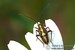 Dateiname=N0020_021.JPG
Dateigröße=78KB
Abmessungen: 600x400
hinzugefügt am: 13. September 2011 N0020_021.JPG