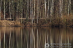 Filename=N0022_059.JPG
Filesize=555KiB
Dimensions=600x400
Date added=Mar 06, 2012 N0022_059.JPG