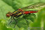 Filename=N0023_052.JPG
Filesize=456KiB
Dimensions=600x400
Date added=May 11, 2012 N0023_052.JPG