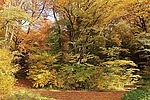 Filename=N0025_021.JPG
Filesize=657KiB
Dimensions=1000x667
Date added=Oct 23, 2012 N0025_021.JPG