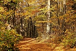 Filename=N0025_022.JPG
Filesize=614KiB
Dimensions=1000x667
Date added=Oct 23, 2012 N0025_022.JPG