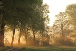 Filename=N0026_099.JPG
Filesize=437KiB
Dimensions=1000x667
Date added=May 18, 2013 N0026_099.JPG