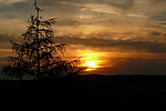 Filename=N0028_043.JPG
Filesize=485KiB
Dimensions=999x666
Date added=Aug 06, 2013 N0028_043.JPG