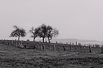 Filename=N0030_052.JPG
Filesize=282KiB
Dimensions=1000x667
Date added=Mar 12, 2014 N0030_052.JPG