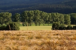 Filename=N0032_012.JPG
Filesize=395KiB
Dimensions=1000x667
Date added=Jul 05, 2014 N0032_012.JPG