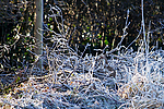 Filename=N0036_096.jpg
Filesize=785KiB
Dimensions=1000x667
Date added=Dec 06, 2016 N0036_096.jpg