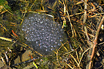 Filename=N0036_098.jpg
Filesize=820KiB
Dimensions=1000x667
Date added=Mar 17, 2017 N0036_098.jpg