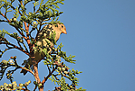 Filename=N0038_097.JPG
Filesize=488KiB
Dimensions=1000x676
Date added=May 22, 2024 N0038_097.JPG