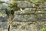 Filename=Steinbruch_012.JPG
Filesize=538KiB
Dimensions=999x666
Date added=Sep 10, 2011 Steinbruch_012.JPG