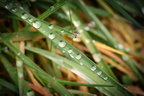 Sonstige Naturbilder