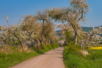 Landschaften